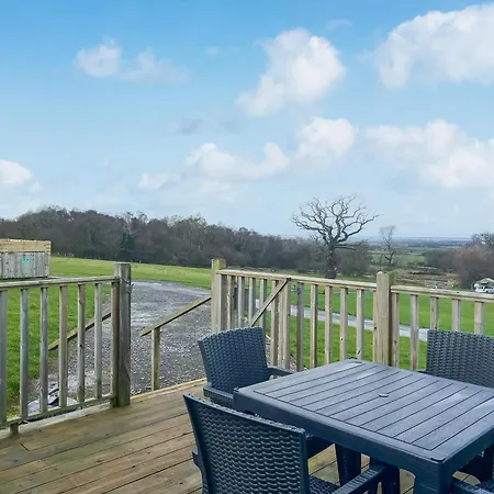 Oak Tree - Uk51429 Westward