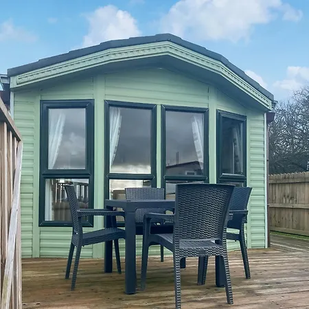 Oak Tree - Uk51429 * Westward