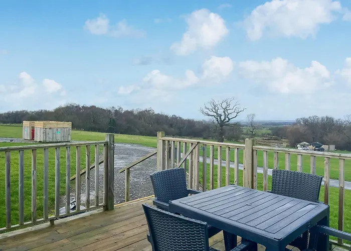 Oak Tree - Uk51429 Westward