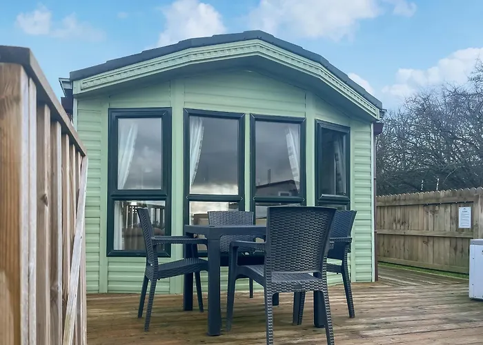 Oak Tree - Uk51429 * Westward